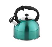 Amazon Basics Bouilloire inox, 2.3 l, Sarcelle