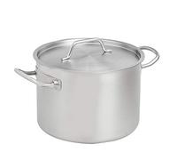Amazon Basics Marmite avec couvercle Acier inoxydable avec revêtement aluminium 9.5 litres, Argenté