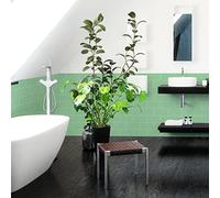Ambiance Sticker mono-tilerect30_10x20_menthe 30 stickers carrelages H10 x L20 cm métro Dalle,Carrelage Adhesif Mural Salle de Bain Cuisine, Crédence adhésive - 50x120cm - Vert menthe