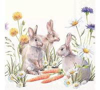 Ambiente - 20 SERVIETTES COCKTAIL PAPIER LAPIN CAROTTES 25CM