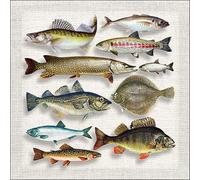 Ambiente Serviette Lunch 33 x 33 cm - Motif : poissons variés - Butt Zander Truite - Lot de 20