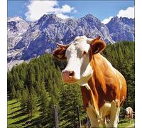 AMBIENTE serviette motif : Alpes Vache - 20 Serviettes Par Paquet, 33x33 cm