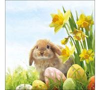 Ambiente Serviettes en papier - Pour déjeuner, fête, environ 33 x 33 cm - Motif lapin moelleux - Décoration de table pour Pâques, printemps, été