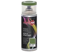 Ambro-Sol V4006011 Vernis peinture Acrylique Multi-Usage, Peinture Brillante pour Intérieur et Extérieur, Adapté a Tous Type de Matériau, Aérosol En Fer-Blanc Recyclable de 400 ml, Vert Rèsèda