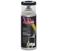 Ambro-Sol V4007021 Vernis peinture Acrylique Multi-Usage, Peinture Brillante pour Intérieur et Extérieur, Adapté a Tous Type de Matériau, Aérosol En Fer-Blanc Recyclable de 400 ml, Gris Noirâtre