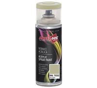 Ambro-Sol V4007032 Vernis peinture Acrylique Multi-Usage, Peinture Brillante pour Intérieur et Extérieur, Adapté a Tous Type de Matériau, Aérosol En Fer-Blanc Recyclable de 400 ml, Gris Gravier