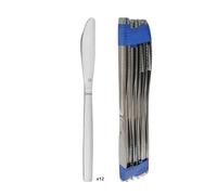 Amefa - 12 couteaux de table - PRADEL ESSENTIEL Baltics - inox 18/0, 206 mm