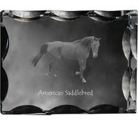 Americký sedlový kůň - cristal avec image de cheval, statuette en verre avec image, cadre unique avec image de la marque Art-Dog