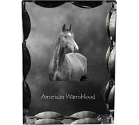 Amerikanisches Warmblut - crystal with a picture of a horse, glass statuette with a picture, unique frame with a picture from Art-Dog brand