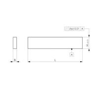 AMF AMF Paire de patins parallèles DIN6346P H.16xB.5xL.100mm Quantité:1