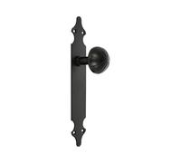 AMIG - Bouton de porte avec plaque 18 - 280 x 45 x 2 mm - Plaque d'acier, Poignée zamak - Noir