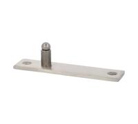 Amig Charnière pivot porte intérieure inox