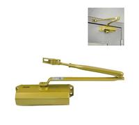 Amig - Ferme-porte hydraulique en aluminium | Fermeture réglable forces 2, 3, 4 | Amortisseur anti-chocs | Utilisation universelle | Pour portes jusqu'à 40 kg, Or, Aluminium