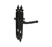 Amig Poignée de porte sur plaque - Noir