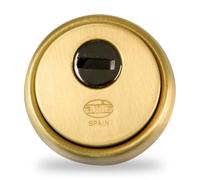 Amig - Protège-cylindre de sécurité Mod. 31 - Laiton - Doré - Anneau extérieur creux - Ø65 mm - Avec plaque anti-perçage - Avec vis et support - Pour cylindre Europrofil EN1303 - Corps en acier fritté