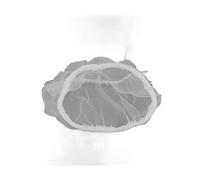 AMONIDA Sac de Crépine de Vidange, Fine élastique pour évier de Cuisine, Capture des Résidus Alimentaires, 30 Unités (30 pièces)