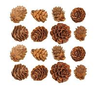 Amosfun Lot de 100 Mini Pommes De Pin Naturelles 2 Cm - DéCoration De CôNes De Pin pour Sapin De NoëL Ornements Rustiques pour Maison FêTes Et Mariages