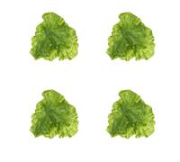 Amosfun Modèles De Simulation De Feuilles De Laitue 12 Pièces Fausse Feuille De Laitue pour Cuisine Restaurant Décor Photo Enseignement Et Maquettes De Légumes