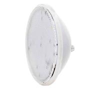 Ampoule à LED blanche Procopi BWT PAR56