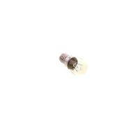 , ampoule cuisinière 15w e14 300°
