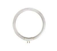Ampoule - Velleman - de rechange de 12W/T4 pour VTLAMP10