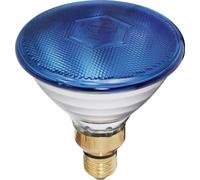 Ampoule halogène pour effet lumineux Eurolite Par-38 FL blau 230 V E27 80 W N/A à intensité variable