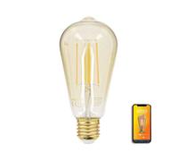 Ampoule Connectee Filament E27 470lm St64 Cct