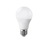 Ampoule LED E27 15W 220V A65 - Blanc Chaud 2300K - 3500K