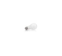 Ampoule LED E27 Bulb opale blanc chaud 6W (55W) 3000°K