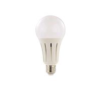 Ampoule LED E27 High Power 24 W / 2452 lm - blanc froid