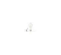 Ampoule LED E27 | | LBPE27A602 |? 6