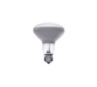 Ampoule LED Flos E27 13 W 1180 Lm 220-240 V 2700 K R125 G.PLUX