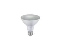 Ampoule LED PAR30 12W E27 6000K IP65