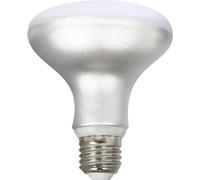 Ampoule LED Silver Electronics R90 12W E27 5000K 160º Ampoule LED