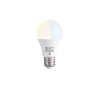 Ampoule Shelly Duo E27 Gen3
