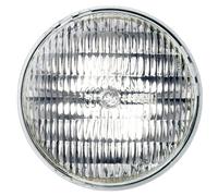 Flos - Ampoule LED GX16d Transparent