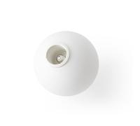 Ampoule TR Opale Mat