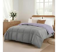 Amrapur Overseas Modern Threads Couette en Duvet d'oie Alternative en Microfibre matelassée réversible pour lit Double améthyste et Argent