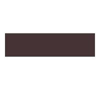 Royal Talens Peinture acrylique Amsterdam Expert 75 ml Série 2 Marron Vandyke