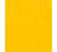 Royal Talens Amsterdam Peinture acrylique Expert 75 ml Jaune Ocre 227 – Corps lourd