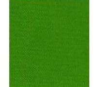La Série 2 De 75ml Amsterdam Expert Acrylique Permanent Feu Vert