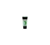 AMT Fevicryl Acrylique Tube Vert Hooker (AC04)
