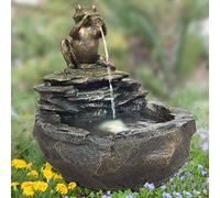 Amur Fontaine de Jardin Grenouille - avec Lumière LED - 230 V - Jeu d'eau Originale pour Le Jardin, Étang, Terrasse