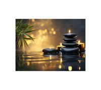 AMXBZC Moderne Nature Impression sur Toile Tableau Plante de la Bougie en Pierre Zen Cuisine Murale Tableaux Decoratifs - Salon affiche Muraux Chambre Deco(Noir)-50x70cm Sans cadre