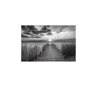 AMXBZC Tableau Decoration Murale Moderne Paysages de la plage Black White Les Paysage Mur Art Peinture- Peintures Maison Bain Salon Chambre Deco affiche(gris)-80x120cm Sans cadre