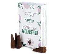 Ancient Wisdom Lot de 6 Cônes d'encens à Base de Plantes-Violet Lilly Encens, Multicolore, Unique