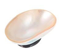 Angoily Assiette à Tremper en Coquillage Beige en Coquille Naturelle, Résistance Haute Température, Design Simple et Créatif pour Conserver Desserts et Couleur Aléatoire Plusieurs styles