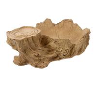 Angoily Soucoupe de Pot de Fleurs Hydroponique en Résine, Base Végétale | Plateau de Récupération pour Plante de Bureau, Léger, Résistant aux Chocs, Couleur Kaki