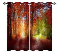 ANHOPE Rideau Occultant Nature Automne Forêt Chemin Lot de 2 Rideau Thermique Isolant Tenture Opaque à Oeillets Draperies Intérieurs pour Maison Chambre Salon Fenetre L 140 x H 160 cm