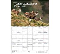 Animal Magic Planner Din A2 Ouvert - Calendrier 2022 Bébé et Animaux Bébés - Soul Magic